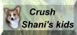 Crush - Shani's kids
