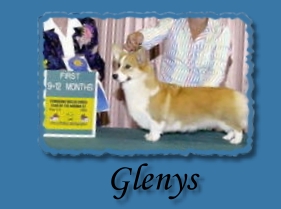 Glenys